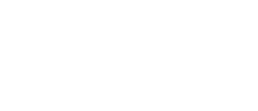 BSL Services