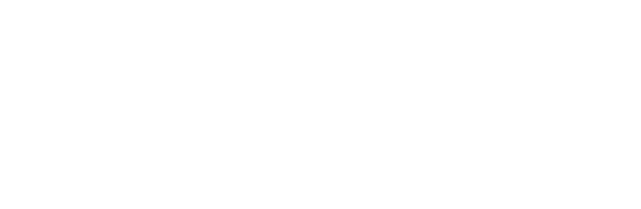 Vision Plus Wealth